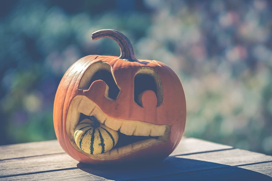 VẼ VÀ TÔ MÀU QUẢ BÍ NGÔ HALLOWEEN | Halloween pumpkin coloring - YouTube