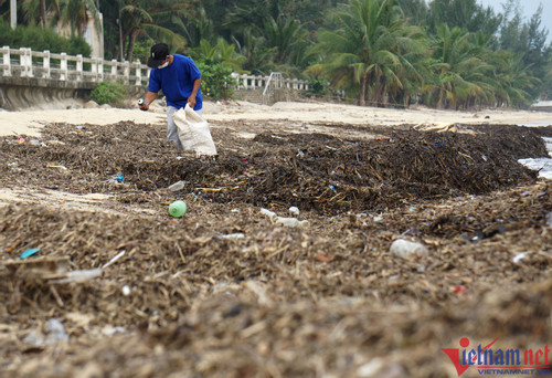 Da Nang beaches full of garbage after storms