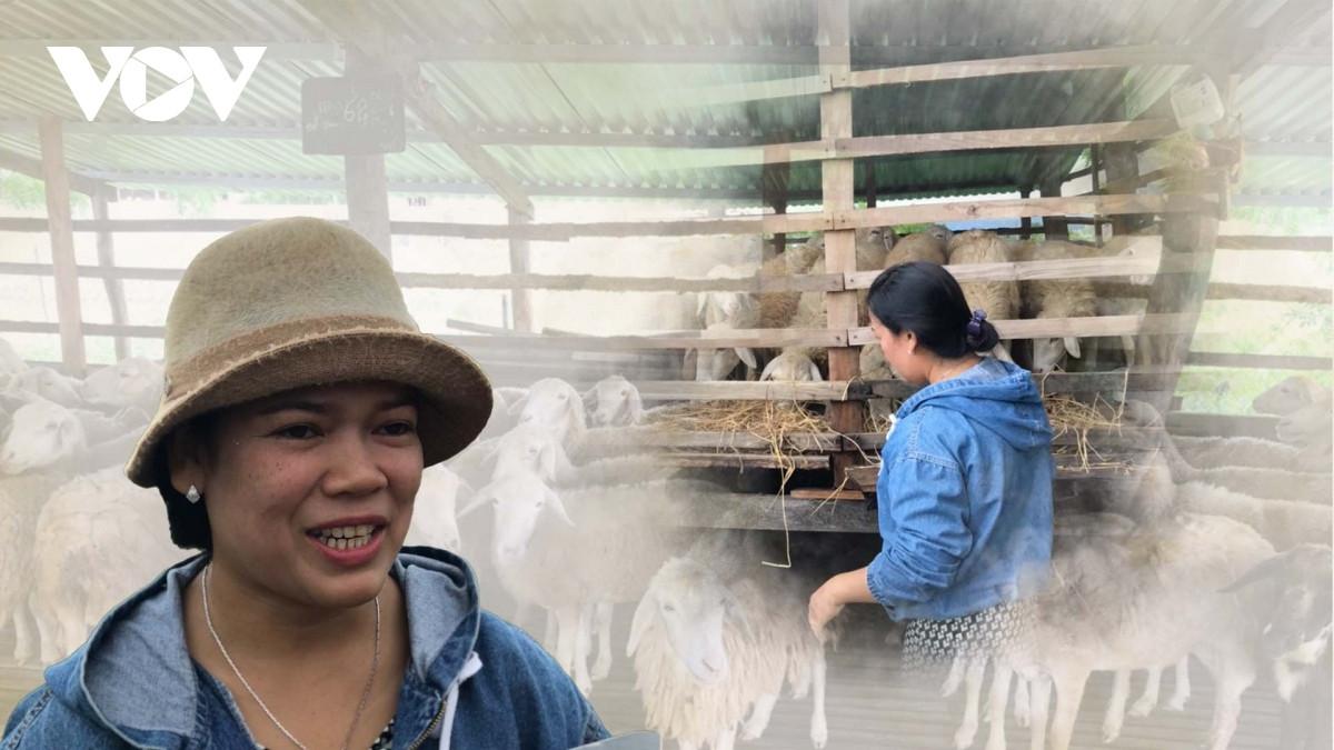 nguoi phu nu cham kiem hon nua ty moi nam tu nang, gio ninh thuan hinh anh 1