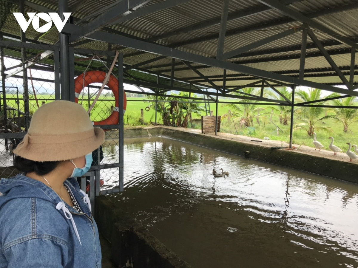 nguoi phu nu cham kiem hon nua ty moi nam tu nang, gio ninh thuan hinh anh 4