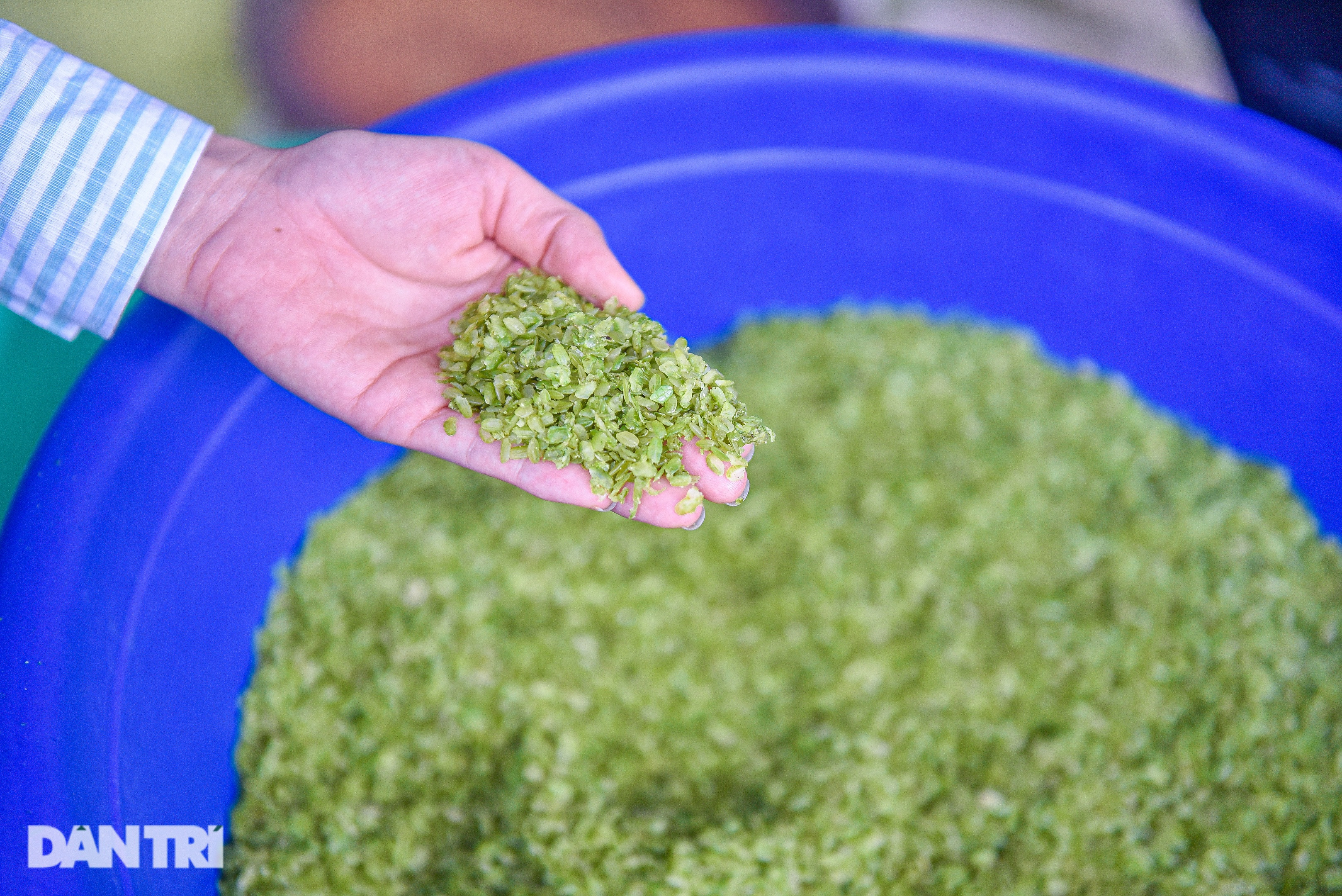 Độc đáo món rang 4 lửa, giã 10 lần của người Thái ở Tây Bắc - 6