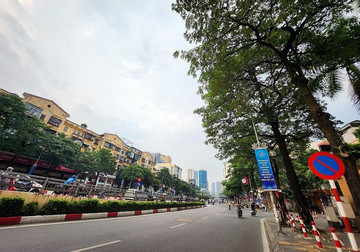 Tuyến phố nhiều lần thay thế, di dời cây xanh nhất Thủ đô