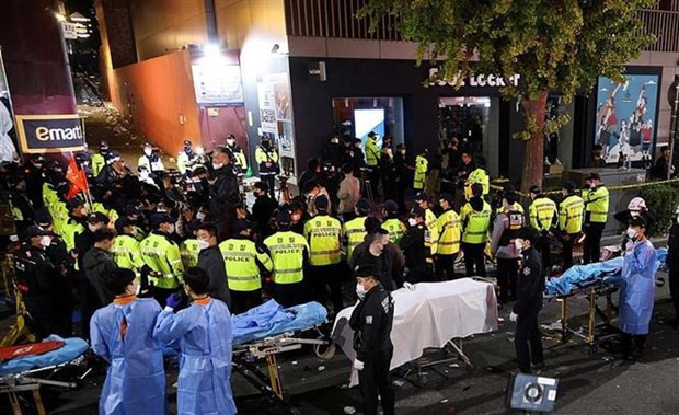 Vietnamese citizen among dead in Halloween stampede in RoK hinh anh 1