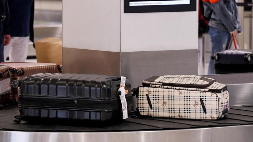 Du khách bị phạt hơn 66 triệu đồng và hủy visa vì giấu 6kg thịt trong vali