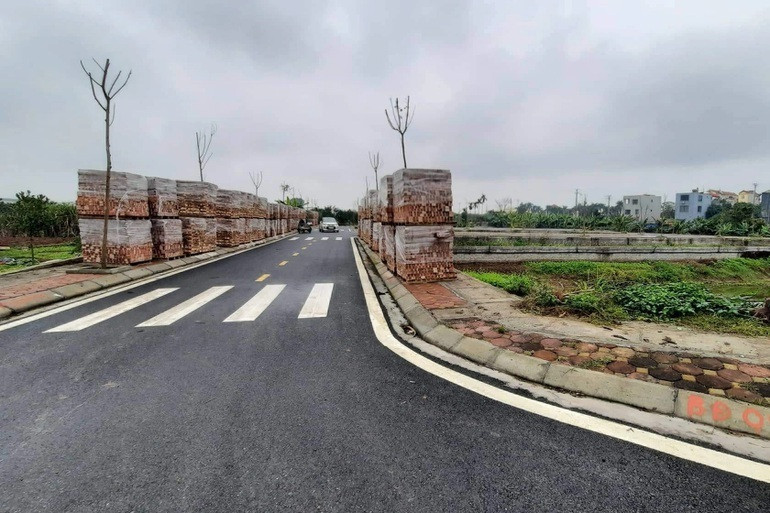 Bộ Tư pháp: Tiềm ẩn bảo kê, dìm giá trong các cuộc đấu giá tài sản - 2