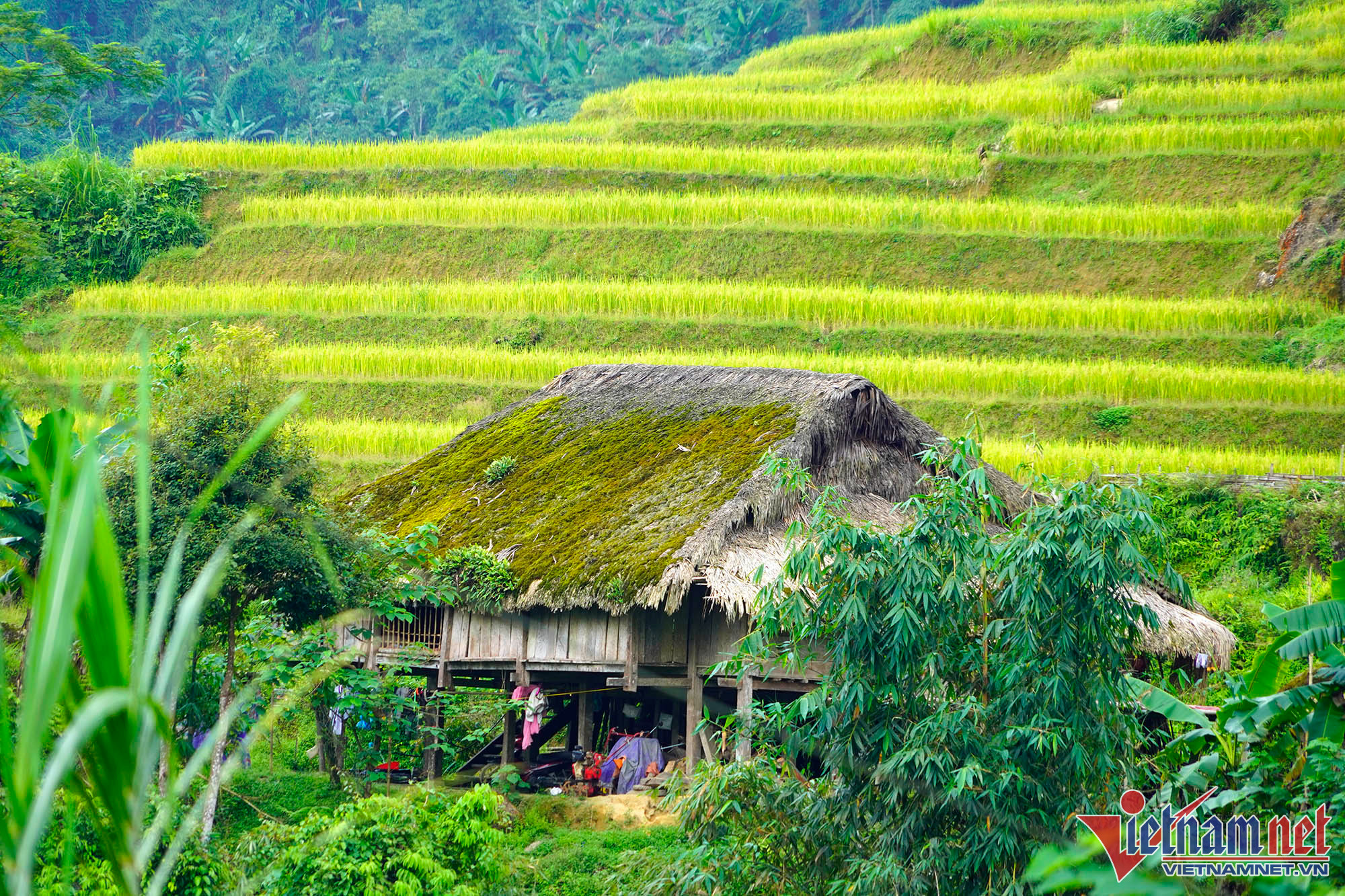 Du lịch Hà Giang đẹp nao lòng với những mái nhà rêu trên dãy Tây Côn Lĩnh