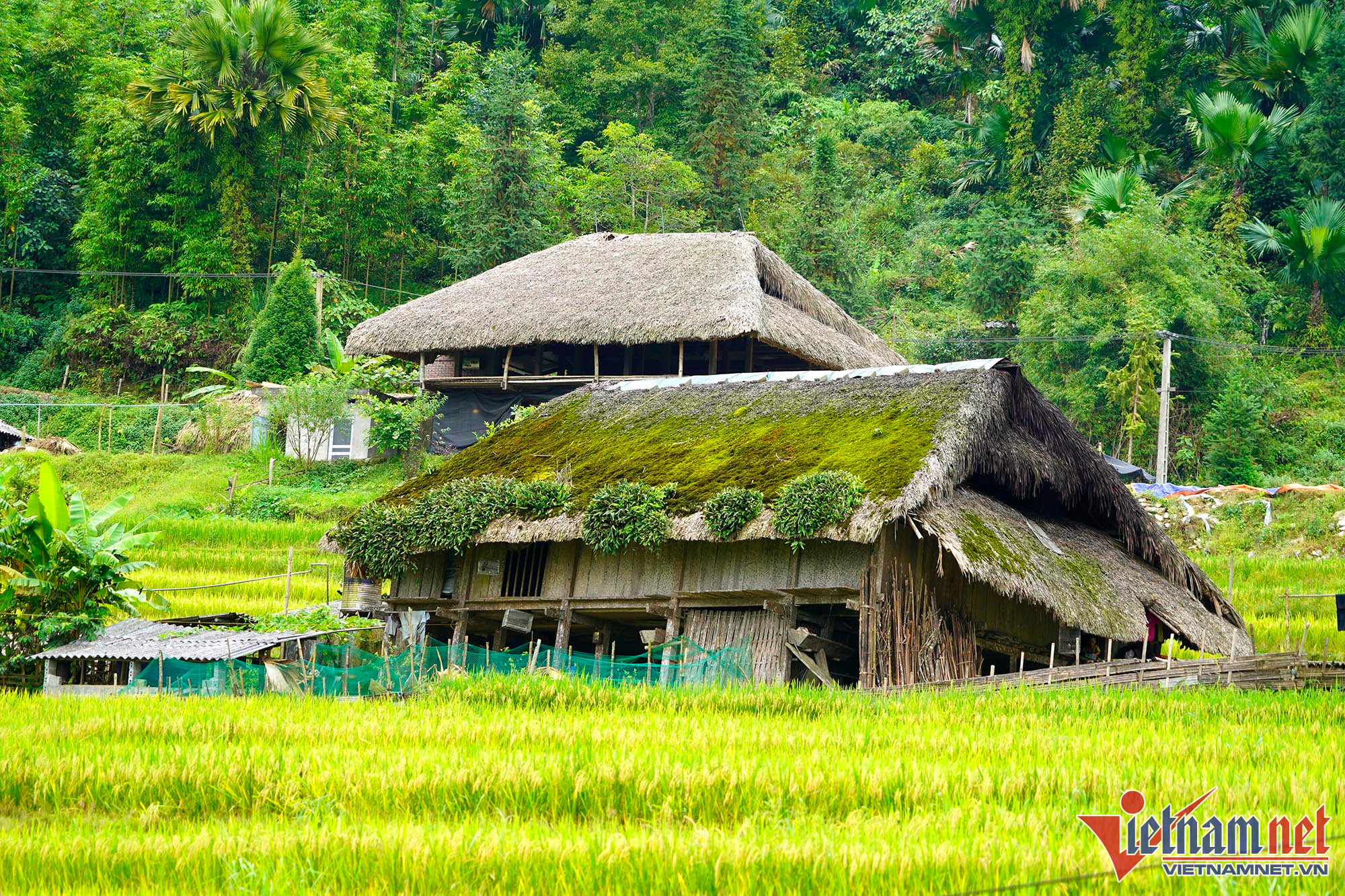 Đẹp nao lòng những mái nhà rêu của người Dao trên dãy Tây Côn Lĩnh mùa thu