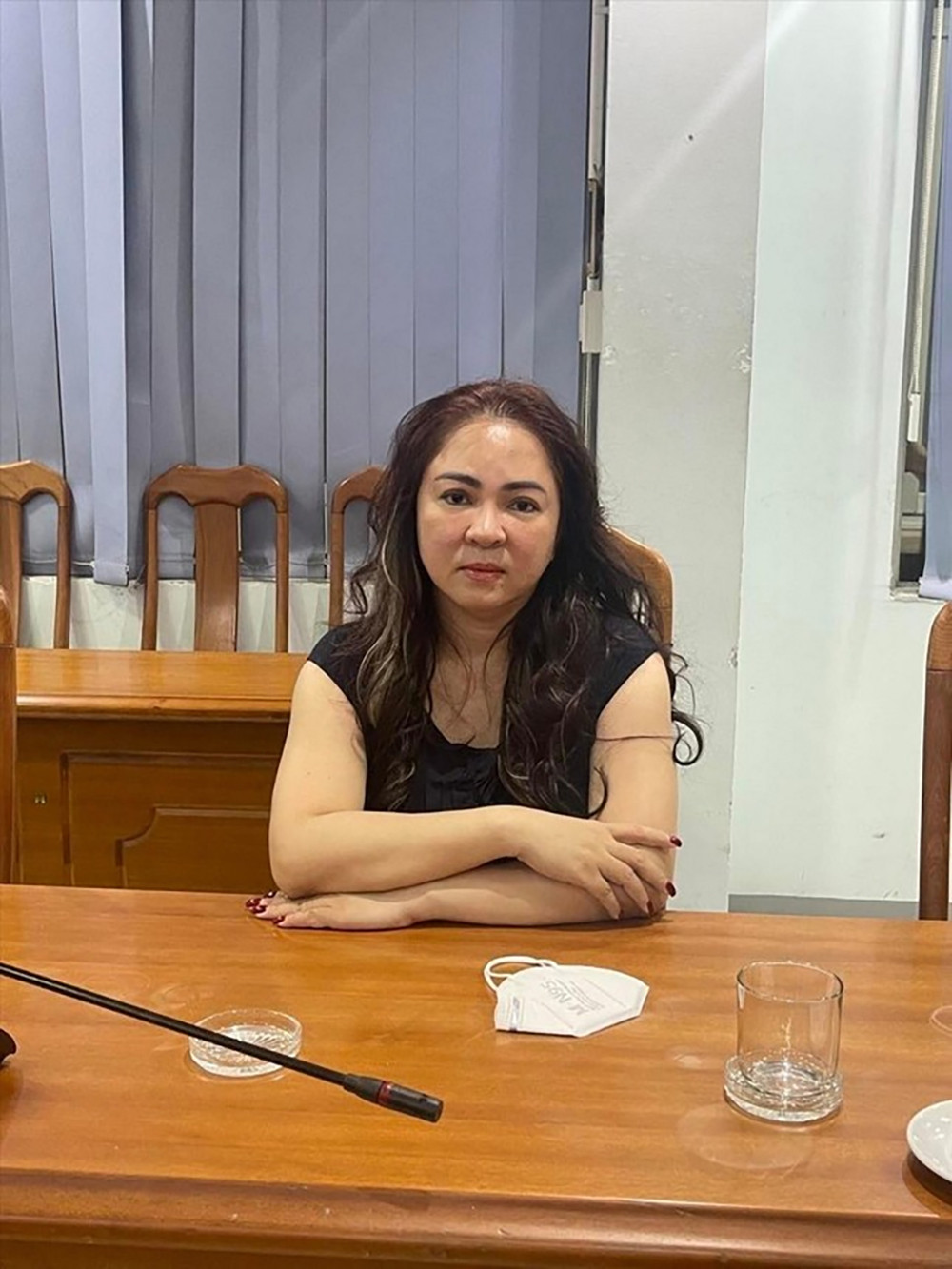 Con trai bà Nguyễn Phương Hằng gửi đơn xin giảm nhẹ và xin bảo lãnh mẹ