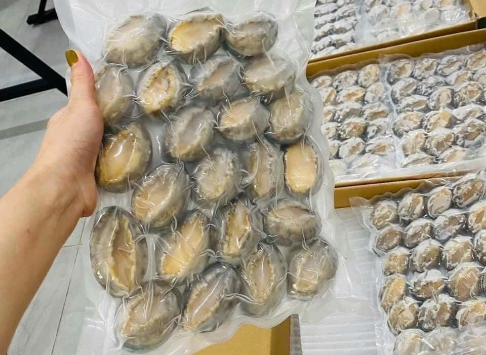 Bất ngờ: Bào ngư ngoại giá chưa tới 400.000 đồng/kg