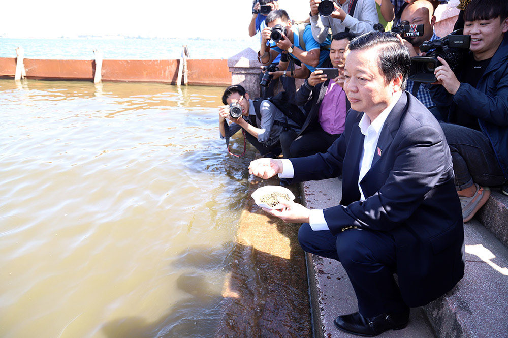 Bộ trưởng Trần Hồng Hà ra hồ Tây cho cá ăn
