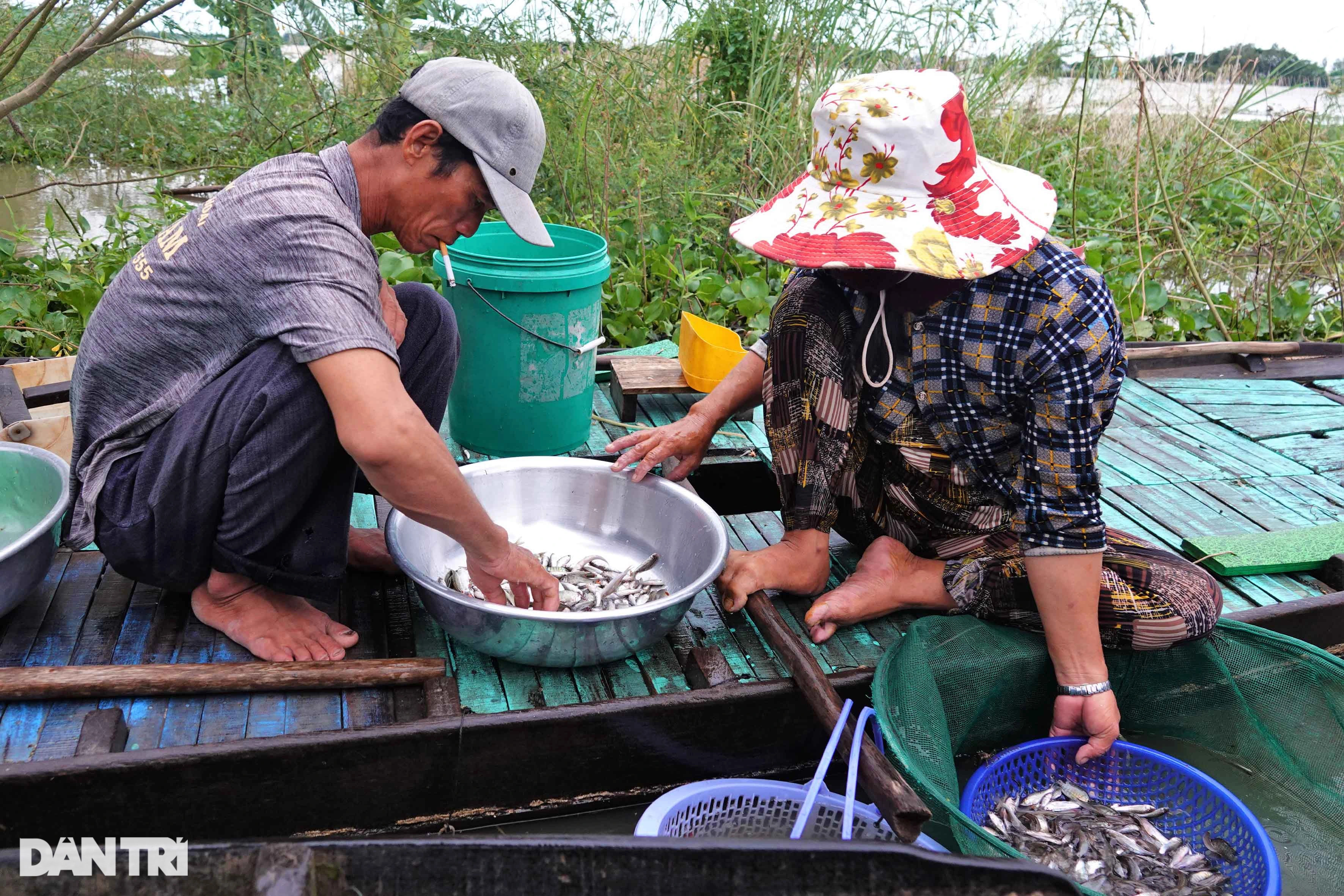 Kỳ lạ phiên chợ lênh đênh giữa đồng, bán đặc sản vạn người mê - 6