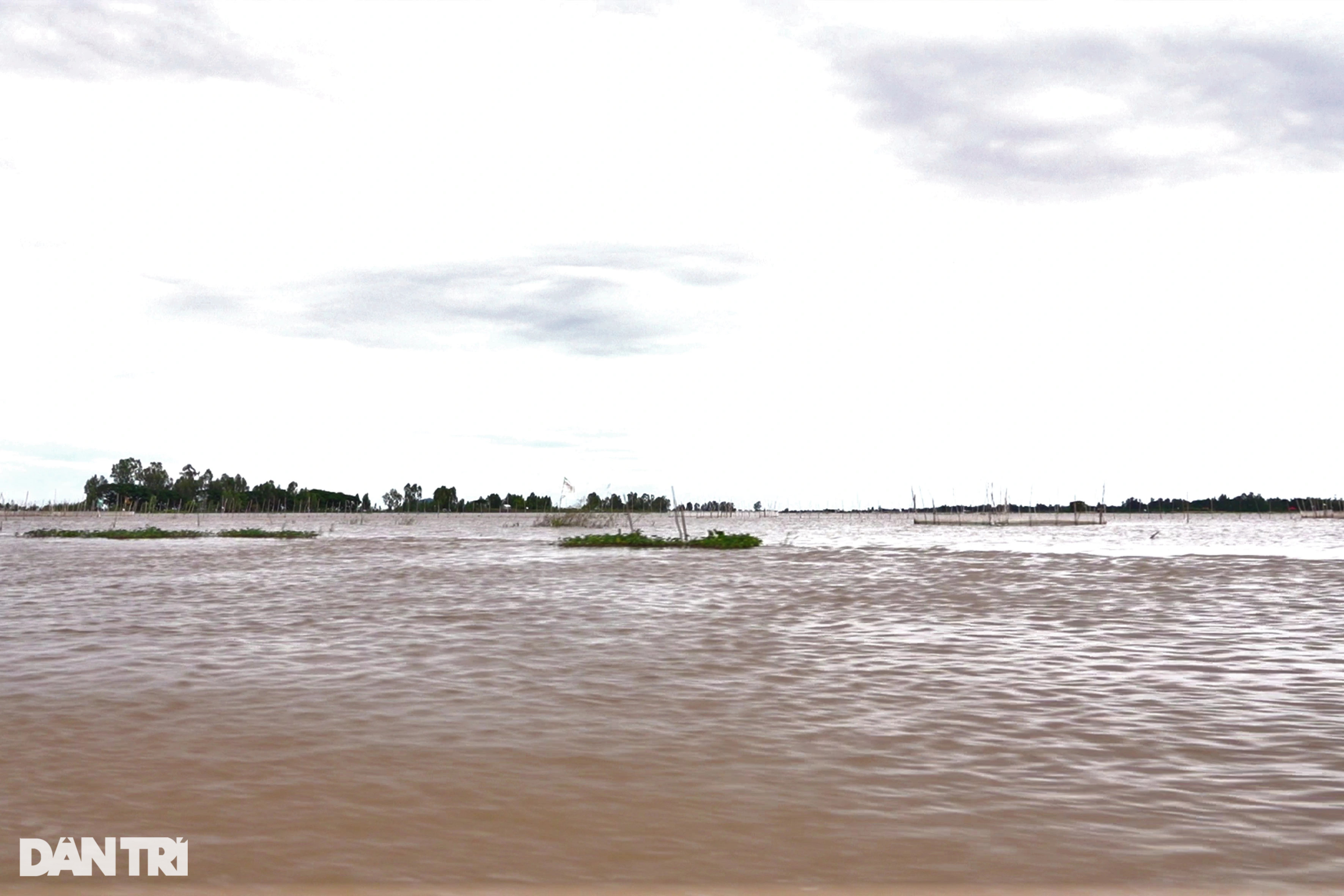 Kỳ lạ phiên chợ lênh đênh giữa đồng, bán đặc sản vạn người mê - 1