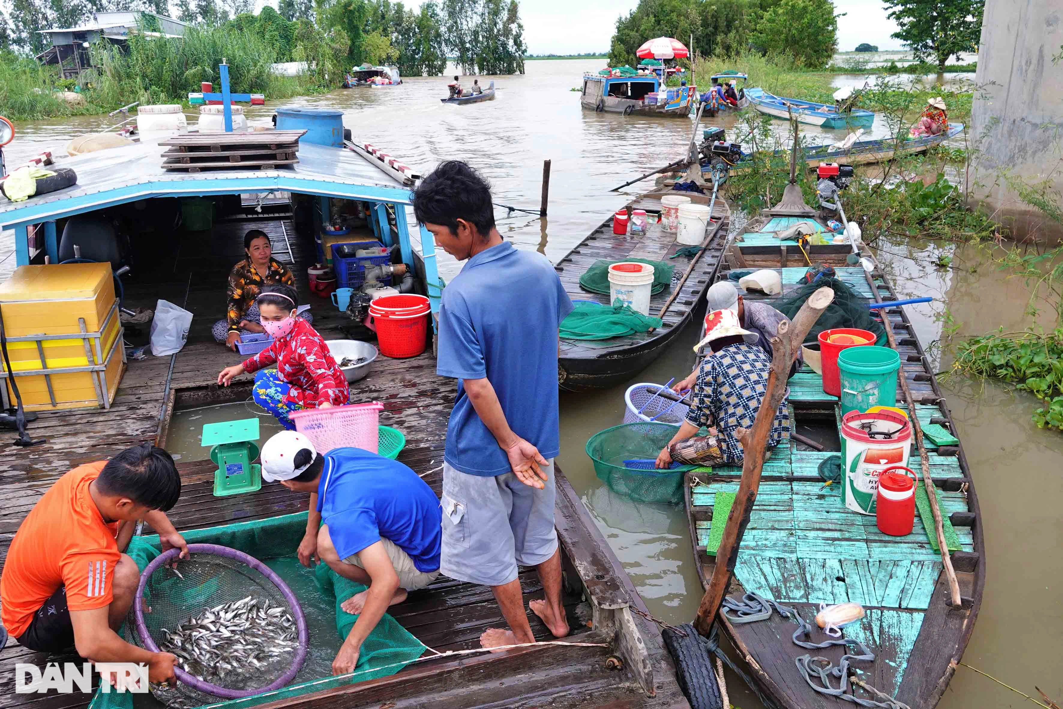 Kỳ lạ phiên chợ lênh đênh giữa đồng, bán đặc sản vạn người mê - 3