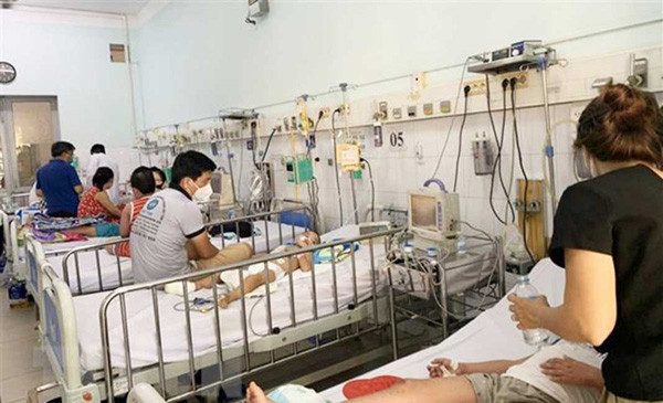 HCM City’s dengue fever deaths highest in decade