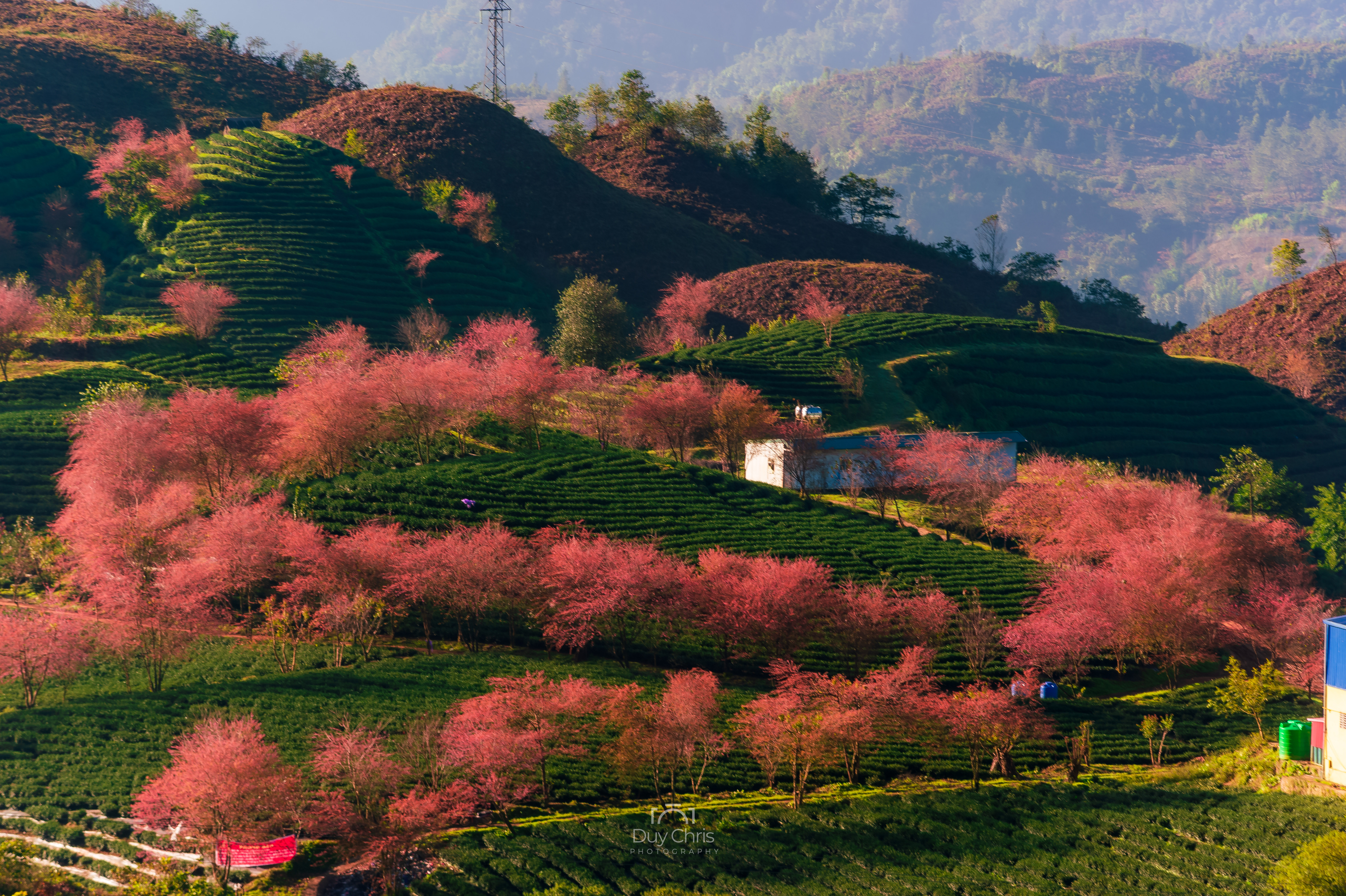Sapa là điểm đến lý tưởng để bạn khám phá mùa thu của miền Bắc Việt Nam. Hãy đắm mình trong sắc vàng của những chiếc lá, trong không khí se lạnh và trong cảm giác yên bình của vùng núi cao này. Du lịch tại đây sẽ cho bạn những kỷ niệm không thể nào quên được về mùa thu tuyệt đẹp.