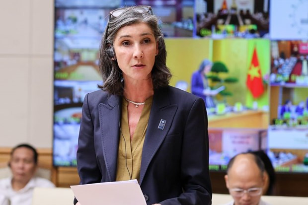 New UNDP Resident Representative pledges support to Vietnam’s development hinh anh 2