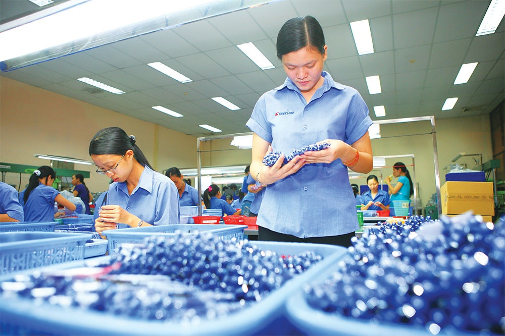 Authorities urged to step up fiscal scheme