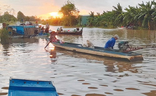 Mekong Delta residents struggle to make a living in flood season