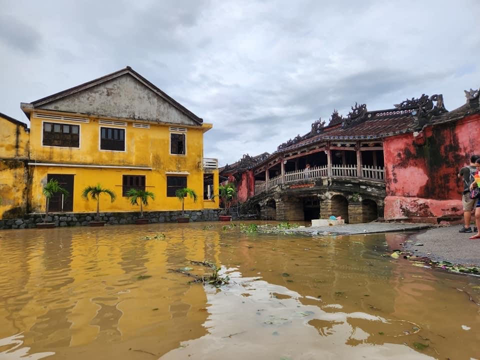 Từ bị động chuyển sang chủ động phòng ngừa, bảo vệ và phục hồi