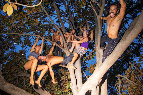 'Tarzan đời thực' dạy du khách leo cây, đu dây như khỉ với giá 230 nghìn