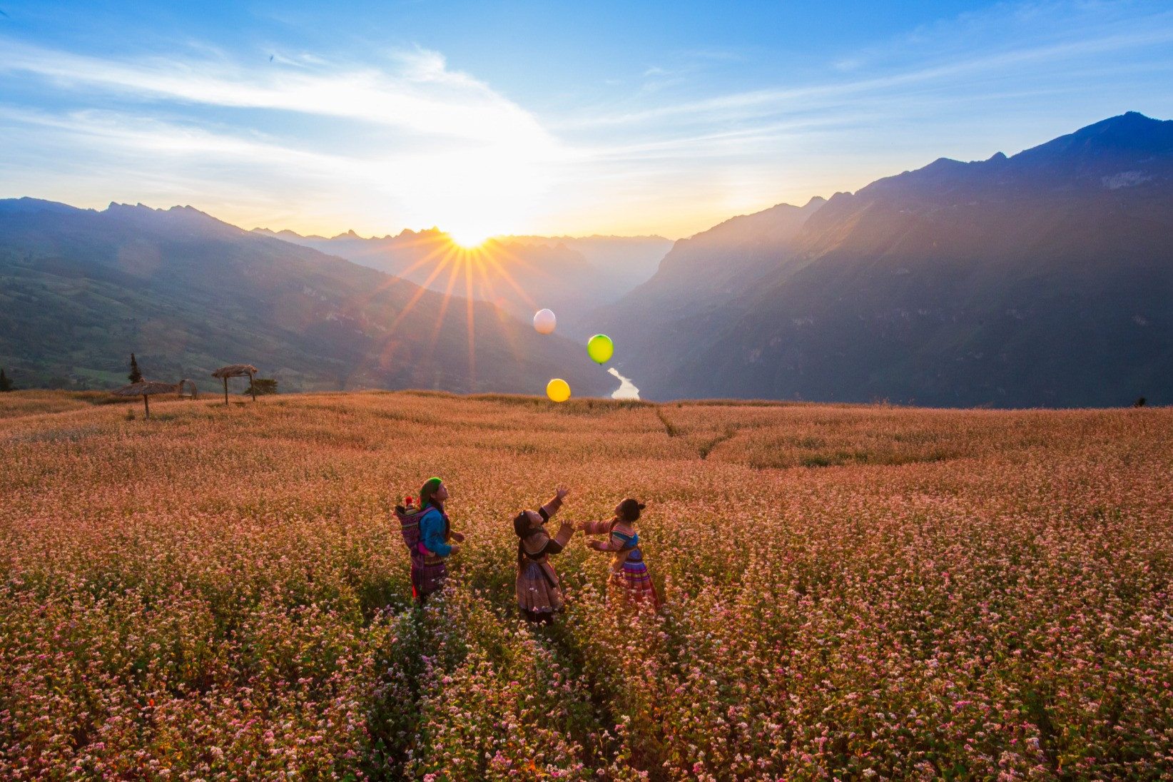 Mùa tam giác mạch đẹp mê hồn ở 'thảo nguyên Thụy Sĩ giữa lòng Hà Giang'