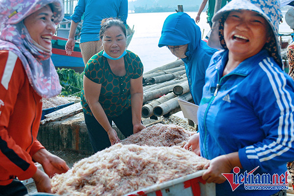 Ngư dân nô nức vớt 'lộc trời' sau ngày biển động