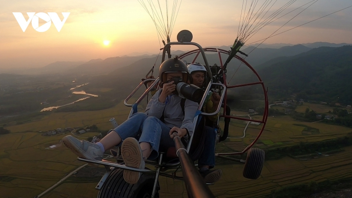 paragliding over golden rice terrace fields in northern vietnam picture 6