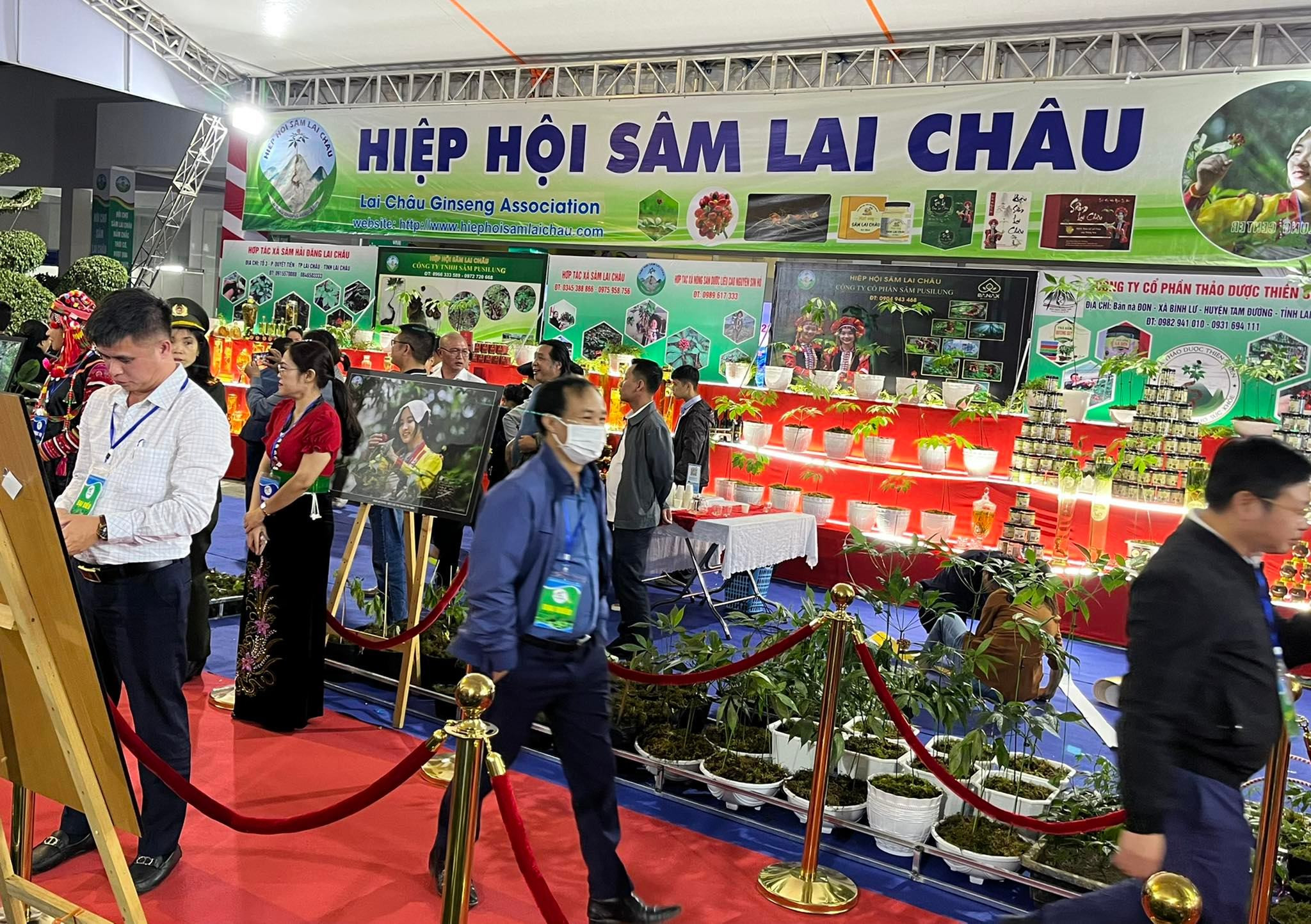 Hội chợ Sâm Lai Châu với khát vọng vươn xa, vượt qua mọi thách thức