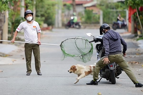 Theo chân đội bắt chó thả rông đầu tiên ở TP.HCM