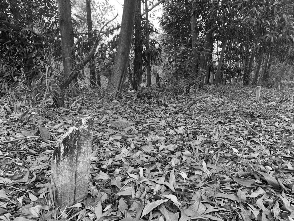 Kẻ sát nhân máu lạnh và khu vườn chết chóc - 1