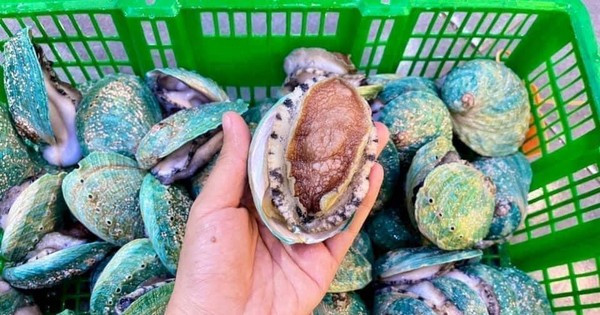 Món ăn chỉ dành cho nhà giàu, nay giảm giá mạnh nhiều người được ăn sang