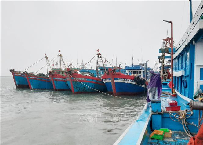 Cấp xã, phường, thị trấn là lực lượng nòng cốt tuyên truyền chống khai thác IUU