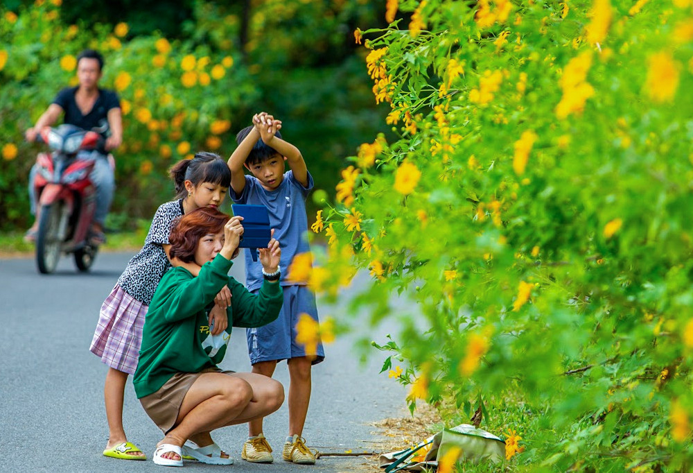 Ngàn du khách ùn ùn đổ về ngắm dã quỳ, đường vào Vườn Quốc gia Ba Vì tắc nghẽn