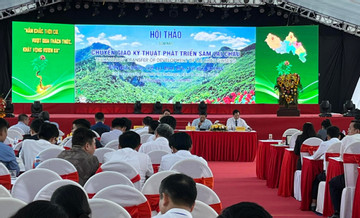 Hơn 300 đại biểu tham dự Hội thảo Chuyển giao khoa học kỹ thuật phát triển sâm Lai Châu