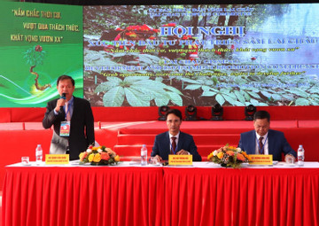 Hội nghị xúc tiến đầu tư phát triển sâm Lai Châu: Kiến tạo môi trường đầu tư thông thoáng