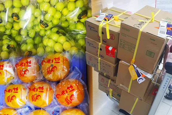 Khách du lịch mang trái cây tươi vào Thái Lan có thể bị phạt tù