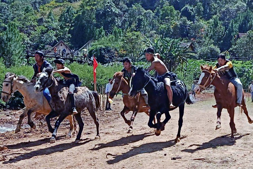 Giải đua ngựa không yên lần đầu tổ chức nhân dịp Festival hoa Đà Lạt