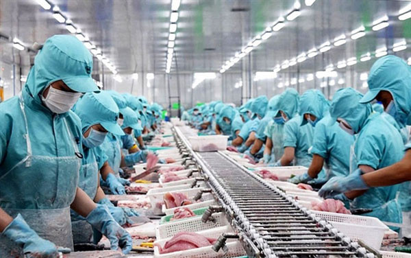Vietnam's seafood market share in Latin America increases thanks to CPTPP