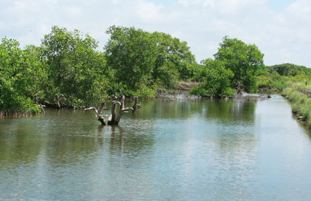 Chủ động phòng ngừa, ứng phó với an ninh phi truyền thống