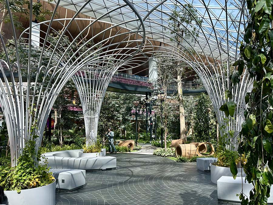 Cận cảnh khu vườn hơn 6.000m2 ở sân bay quốc tế hiện đại nhất Qatar