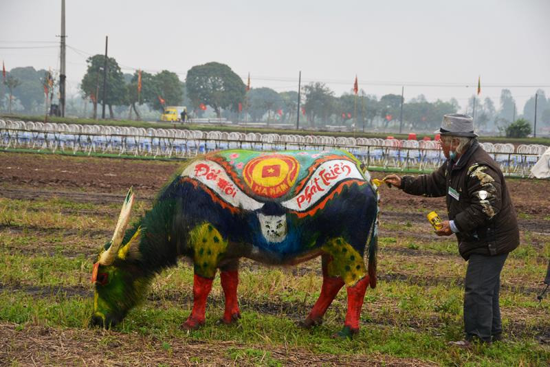 Trâu hóa hổ cho ngày lễ Tịch điền năm Dần - 10
