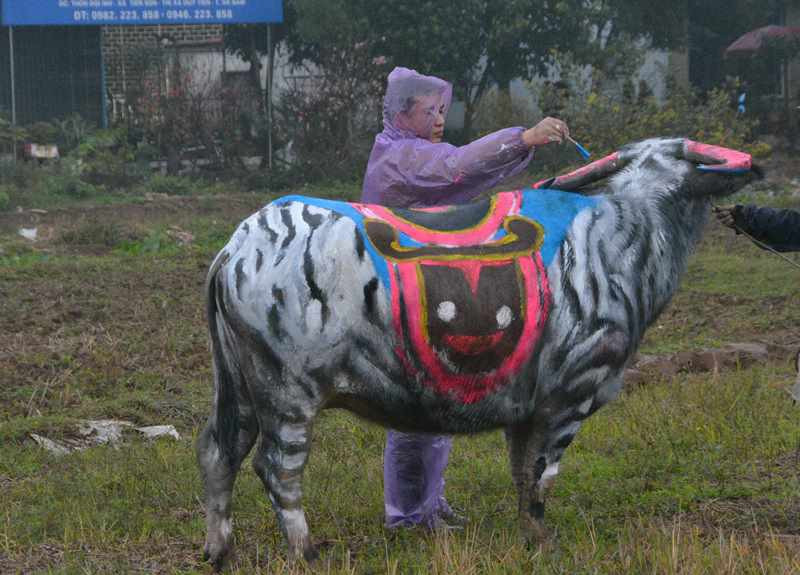 Trâu hóa hổ cho ngày lễ Tịch điền năm Dần - 5