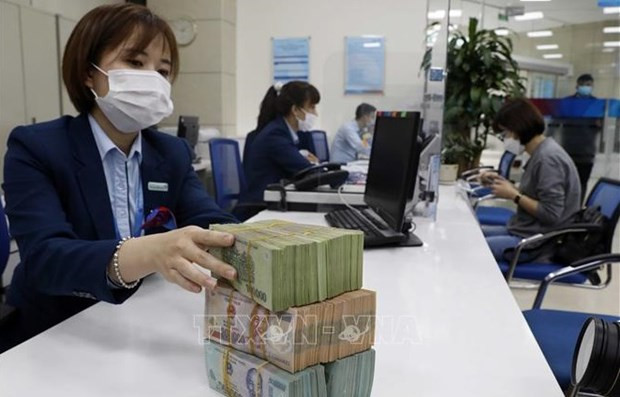 Foreign experts hail Vietnam’s efforts to curb inflation hinh anh 1