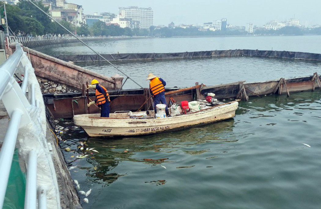Hà Nội yêu cầu sớm khắc phục tình trạng cá chết ở hồ Tây