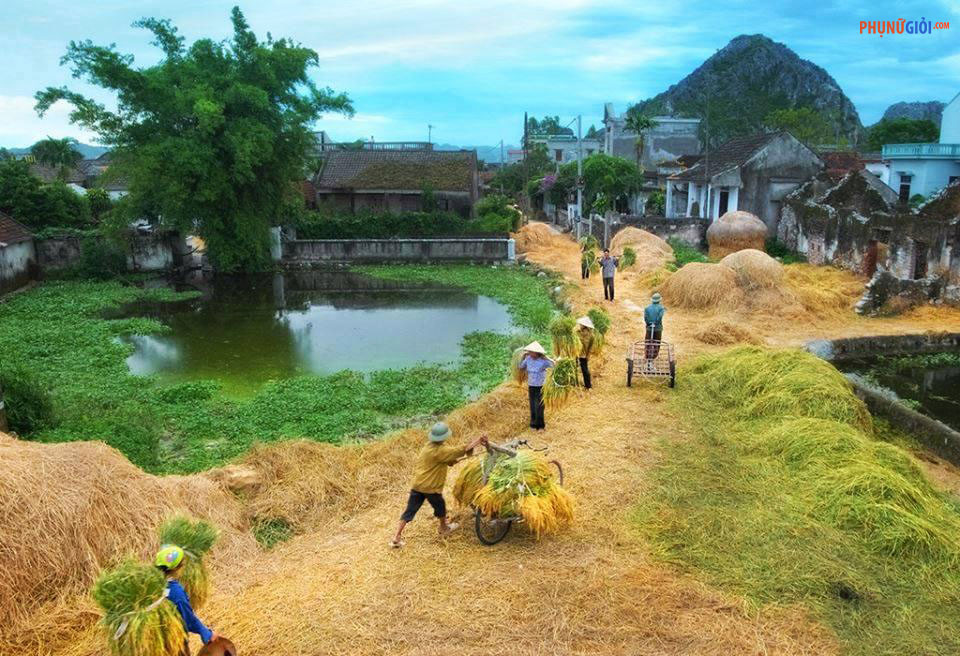 Hãy quay về nơi nguồn cội với hình ảnh làng quê xưa! Những căn nhà gỗ đơn sơ, những con đường đất trải mây trời, và khoảnh khắc tĩnh lặng giữa cây cối đang chờ đón bạn. Dừng chân lại, thưởng thức những hình ảnh đầy cảm xúc này và cảm nhận lại vẻ đẹp của quê hương Việt Nam.