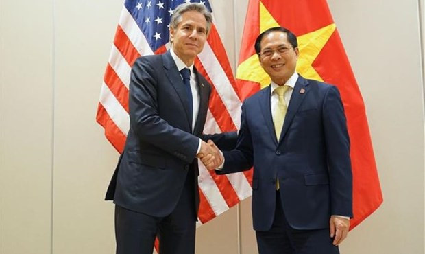 Foreign Minister meets top diplomats of US, Japan hinh anh 1
