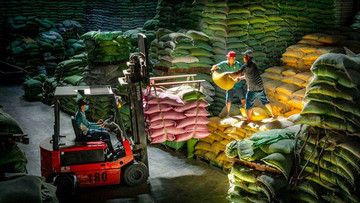Vietnam imports approx. one million tonnes of rice in 2021