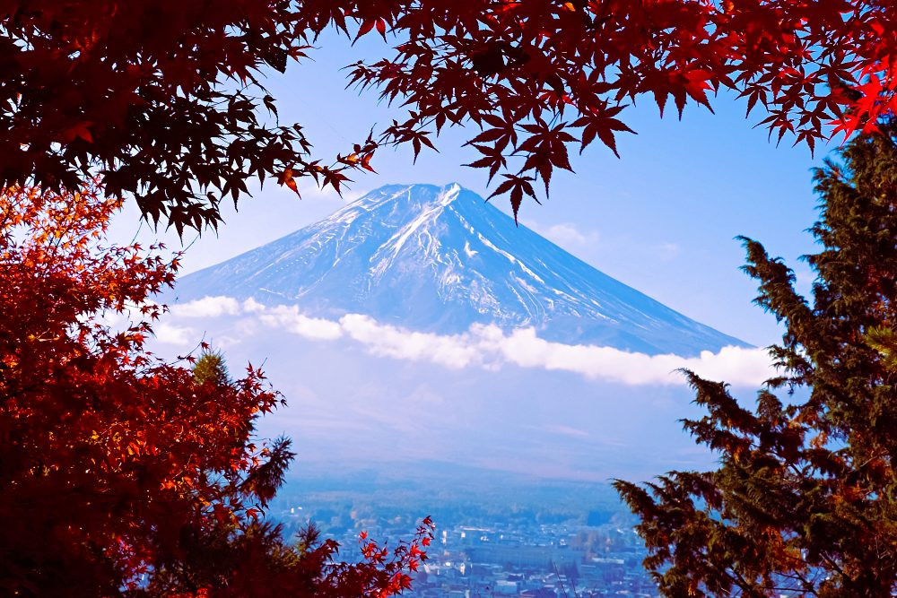 Buổi sáng mùa thu Nhật Bản đẹp' ma mị 'qua ống kính của chàng trai Việt