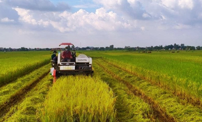 Nam Định tích cực đổi mới quản lý đất đai theo Nghị quyết 18-NQ/TW