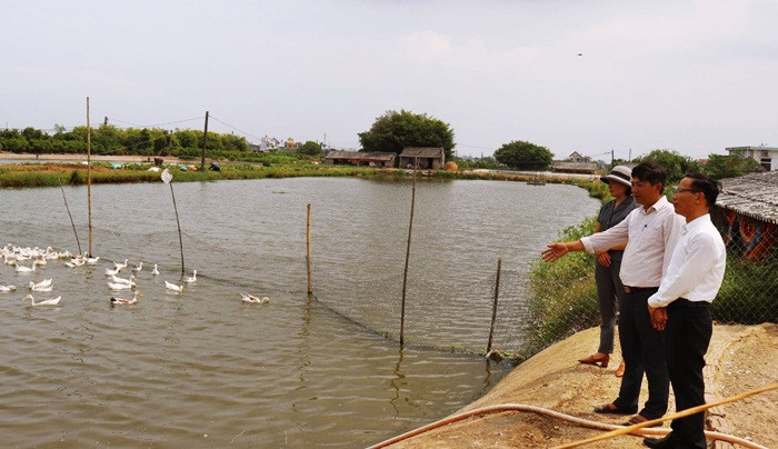 Nam Định chú trọng phát triển kinh tế nông thôn, nâng cao đời sống người dân